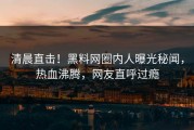 清晨直击！黑料网圈内人曝光秘闻，热血沸腾，网友直呼过瘾