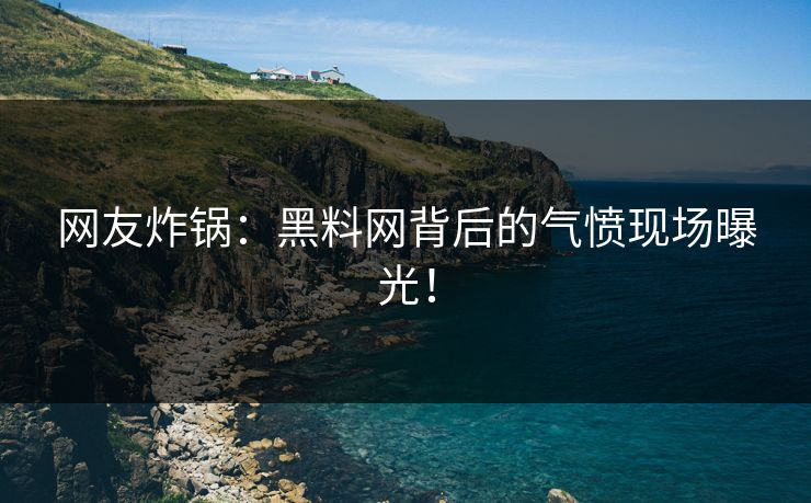 网友炸锅：黑料网背后的气愤现场曝光！