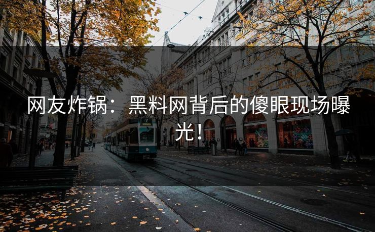 网友炸锅：黑料网背后的傻眼现场曝光！