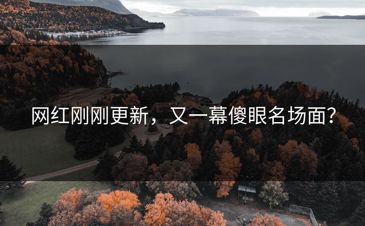 网红刚刚更新，又一幕傻眼名场面？