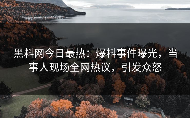 黑料网今日最热：爆料事件曝光，当事人现场全网热议，引发众怒